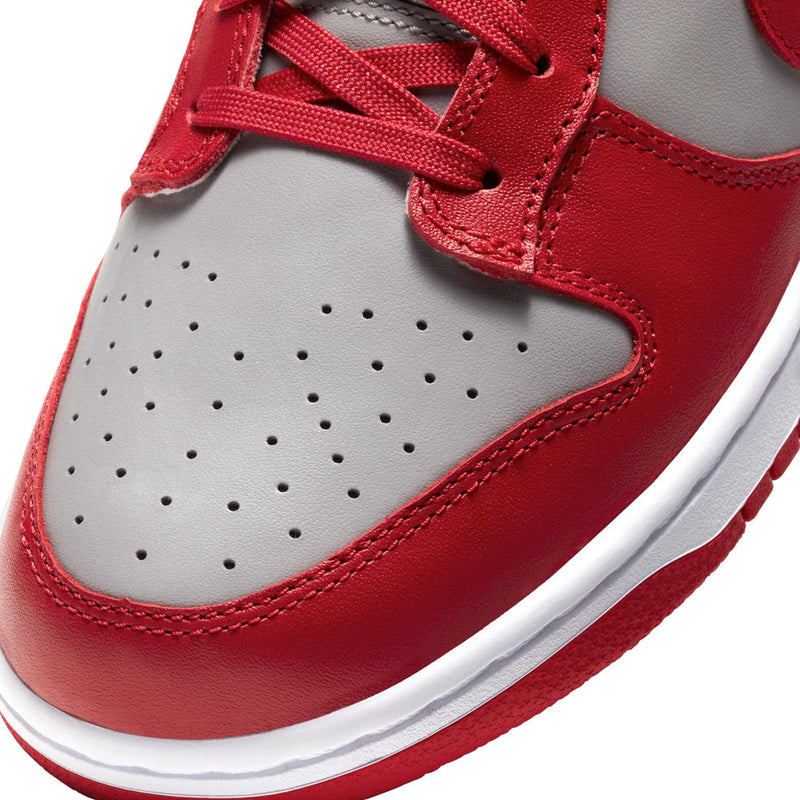 Nike Dunk Low SB Red